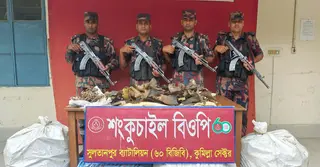 কুমিল্লা সীমান্তে ‘হাঙরের পাখা’ ও ‘সি হর্স’ জব্দ